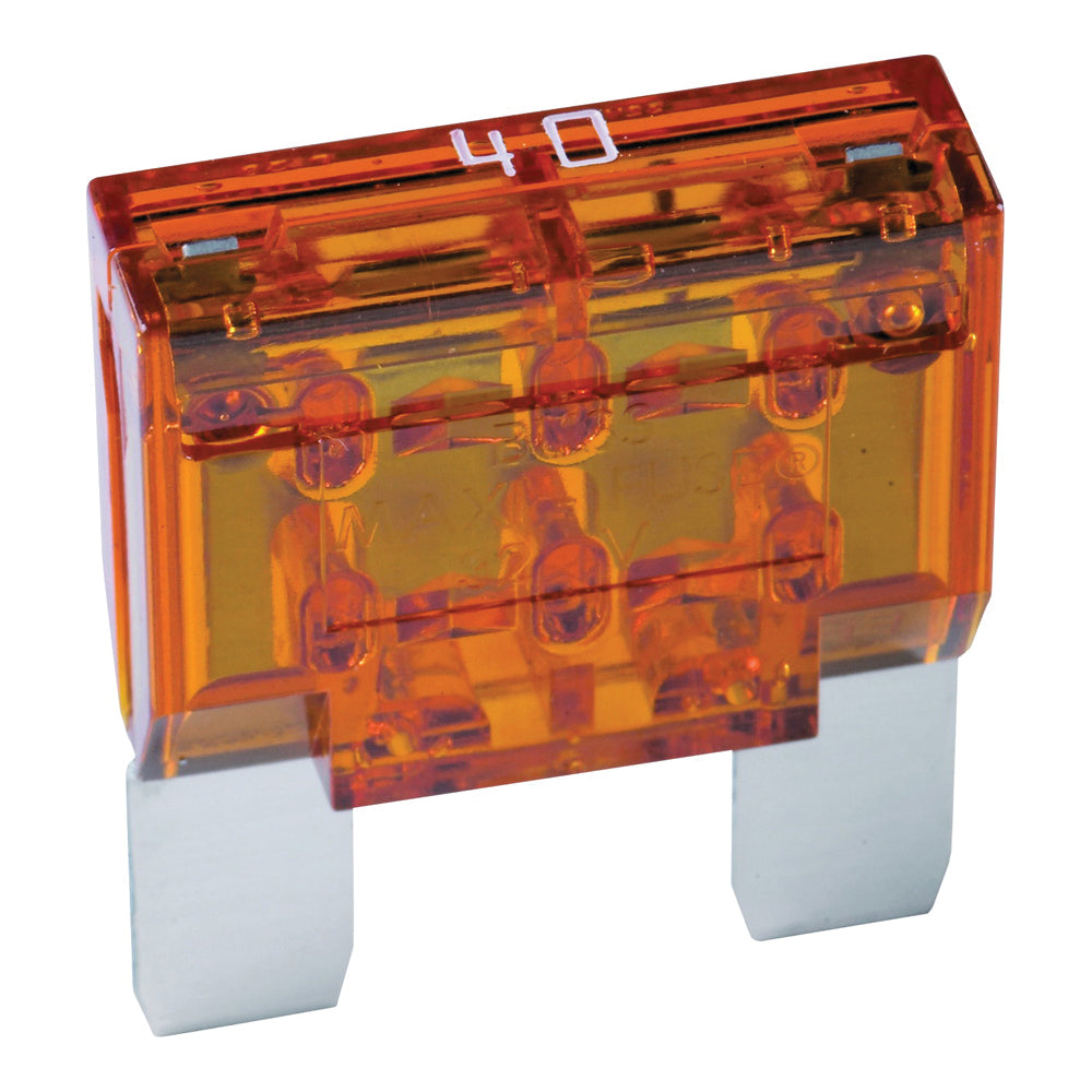 Automotive Fuse Discount