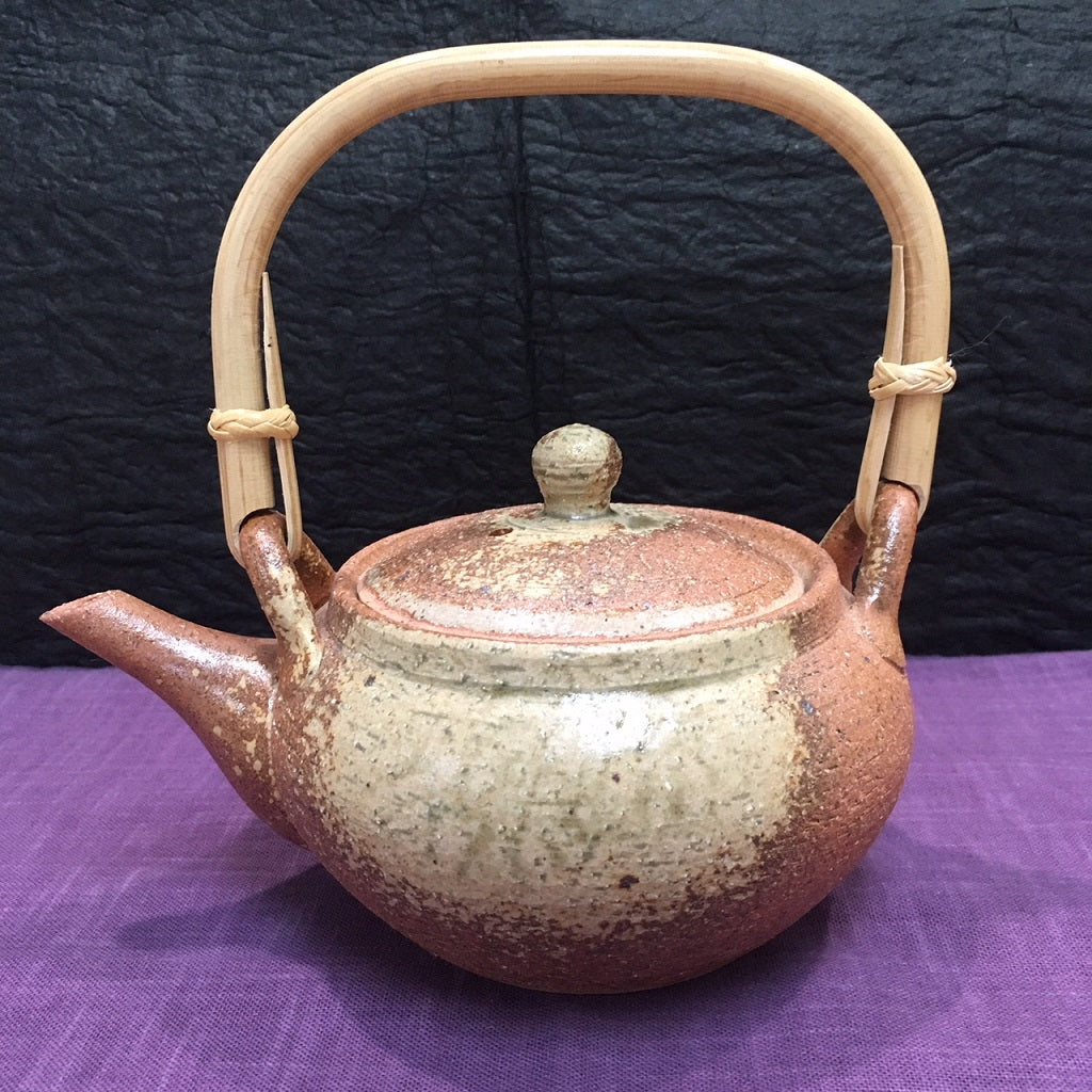 SHIGARAKI CLAY TEA POT Fashion