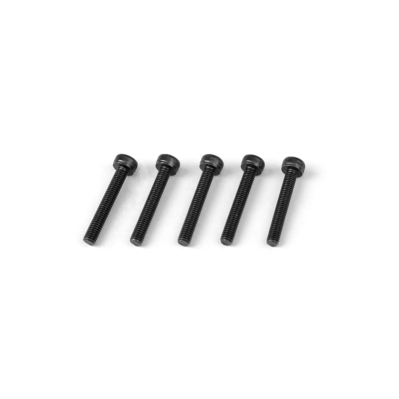 Goosky RS7 Screws M3*20